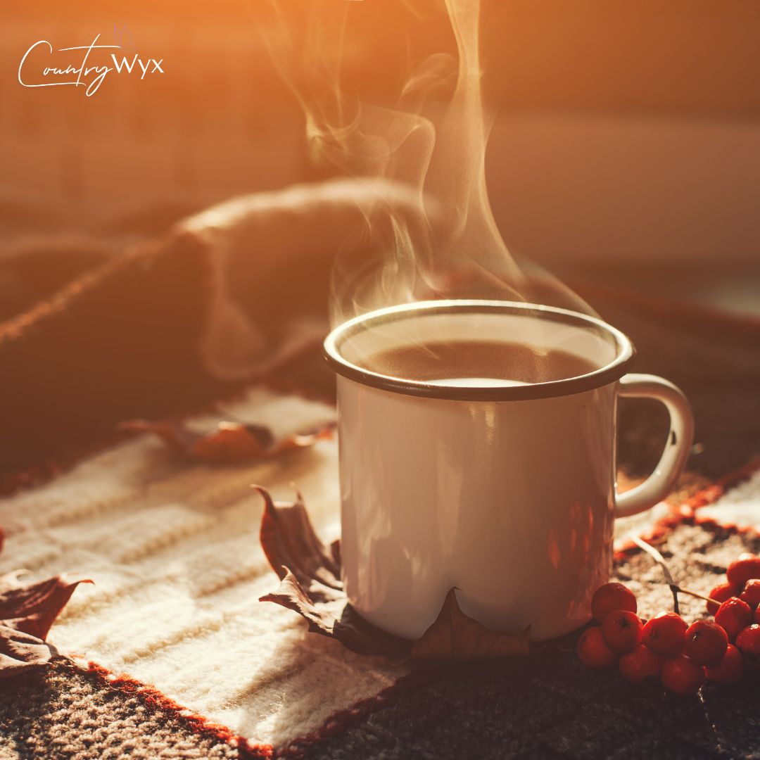 Comforting Hot Spiced Tea - Country Wyx