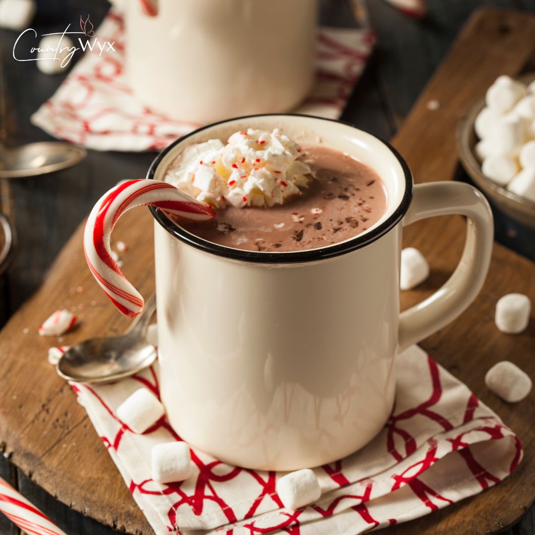 Homemade Creamy Hot Chocolate