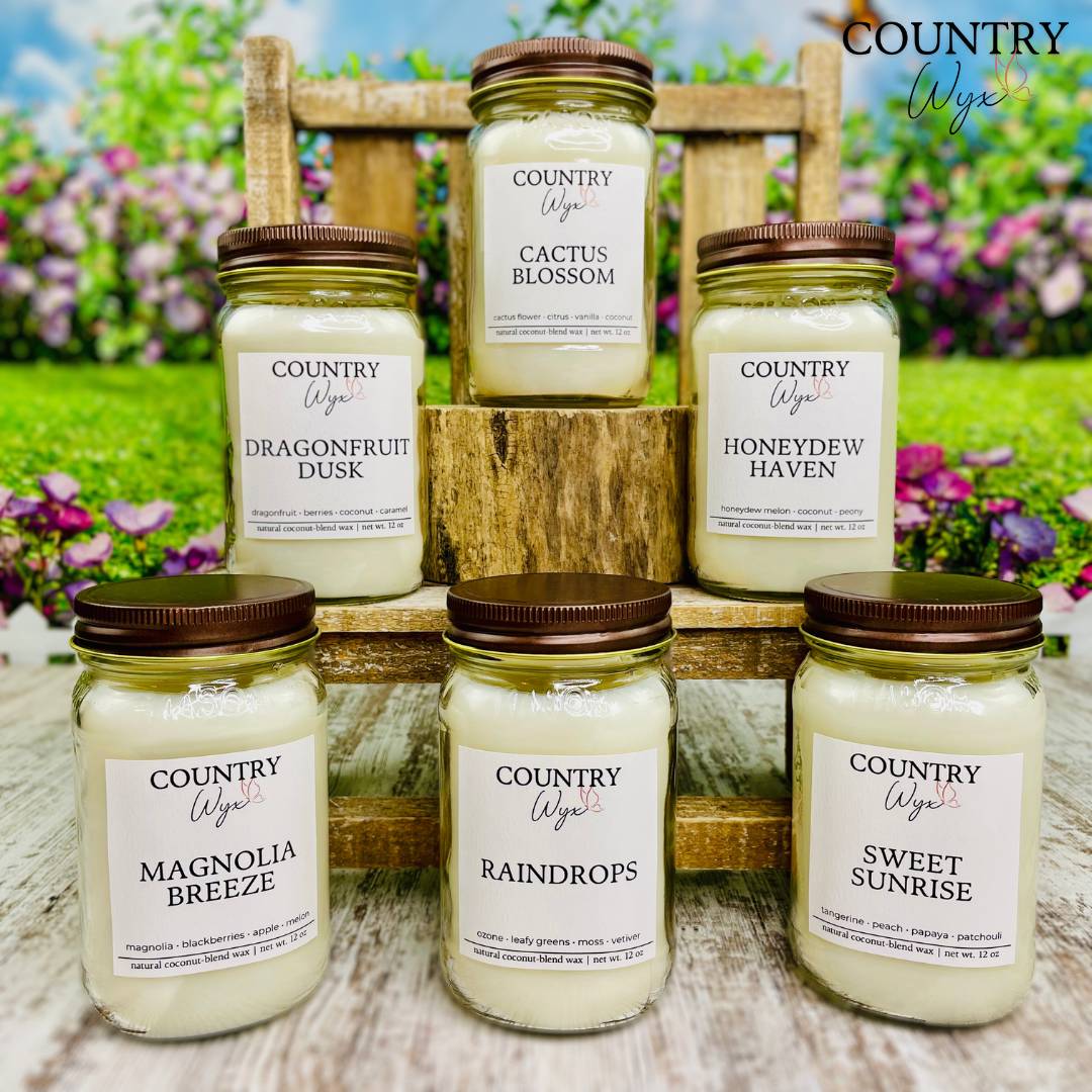 New Beginnings Collection