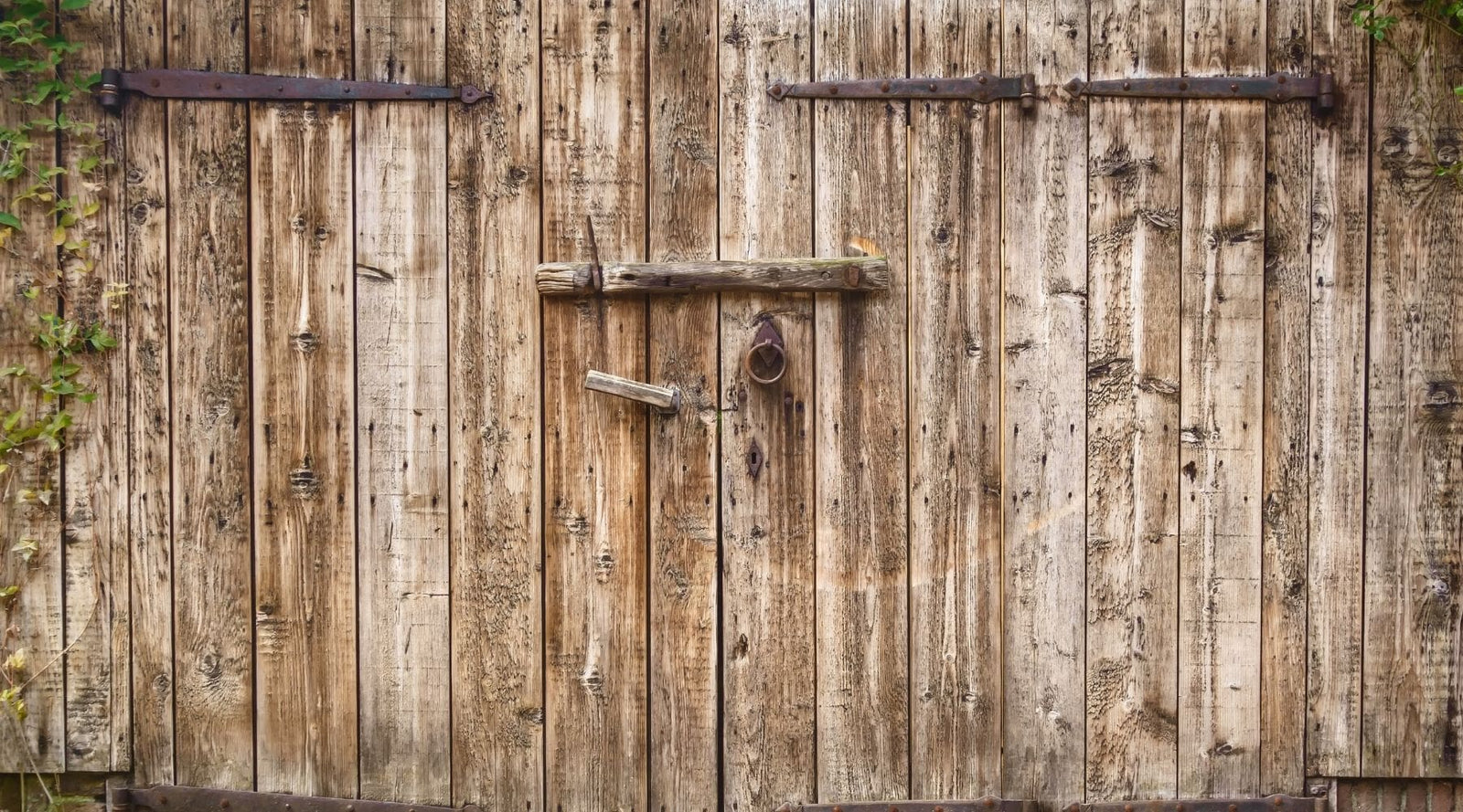 Rustic Barndoors